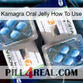 Kamagra Oral Jelly How To Use viagra5